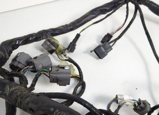 Kabelbaum Kawasaki VERSYS 650