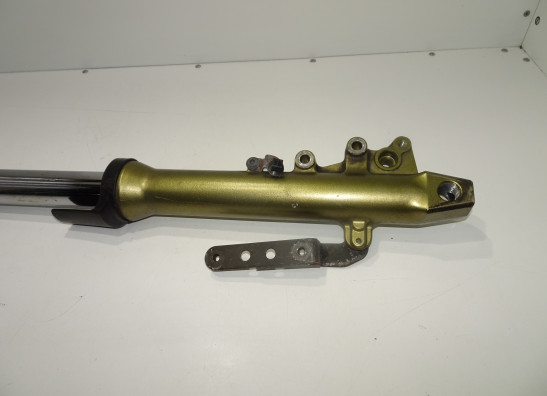 Standrohr Gabelholm links komplett Kawasaki ER 6