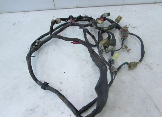 Kabelboom Honda PC 800