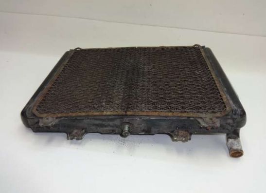 Kuhler Kawasaki GPX 600