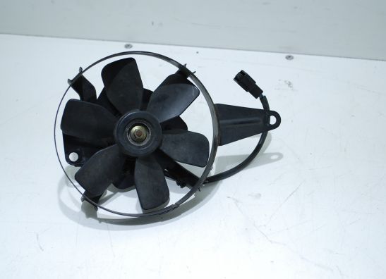 Fan Yamaha GTS 1000
