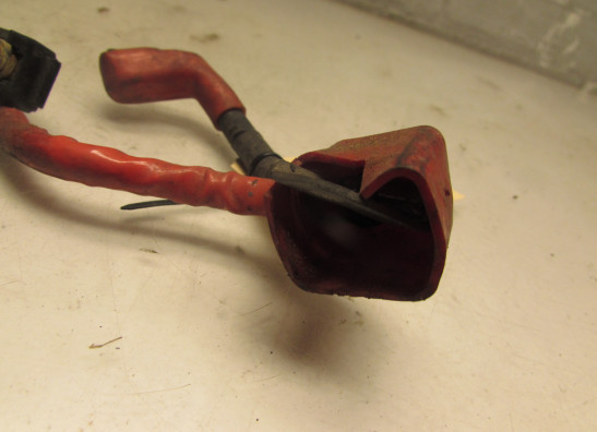 Kabelboom voor Honda Goldwing GL