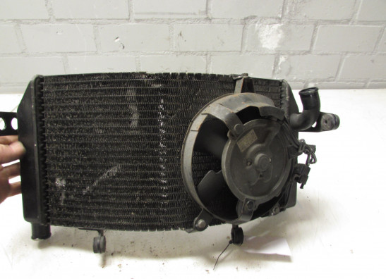 Radiator Honda CBR 600 RR