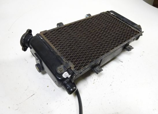 Radiateur Yamaha TDM