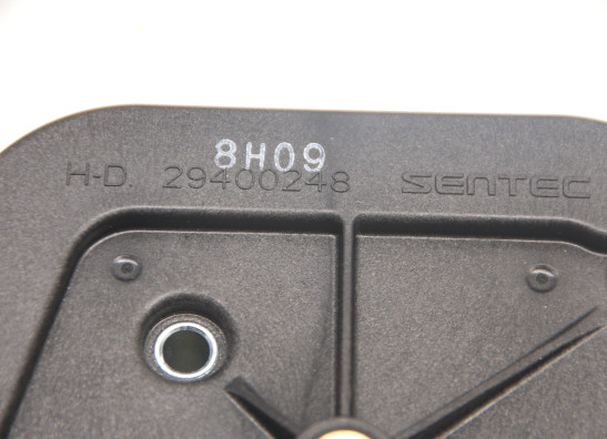 Luchtfilter Harley Davidson Softtail