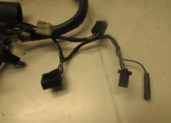 Wire Harness Suzuki GSX F 1100