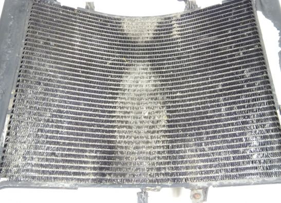 Radiateur Honda CBR 600 RR