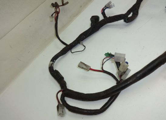 Wire Harness Yamaha XJ 900 S Diversion