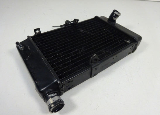 Radiator Aprilia Falco
