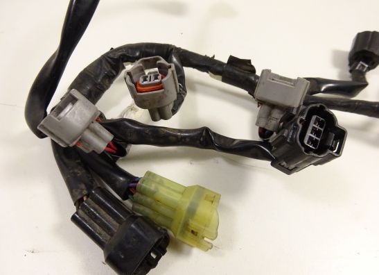 Kabelboom Yamaha YZF R6