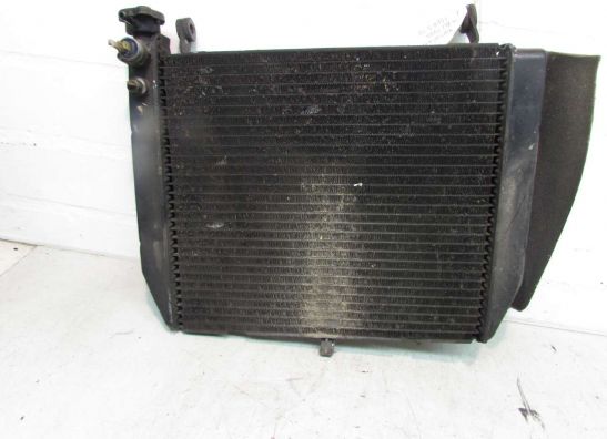 Radiator Yamaha YZF R1