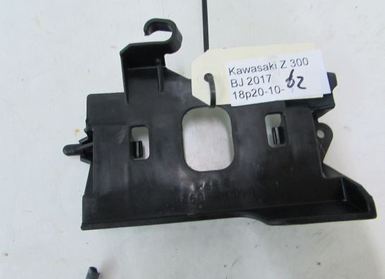 Other Kawasaki Z 300