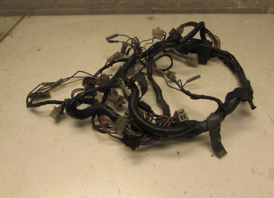 Wire Harness Yamaha V max