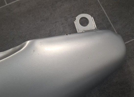 Tank Harley Davidson Softtail