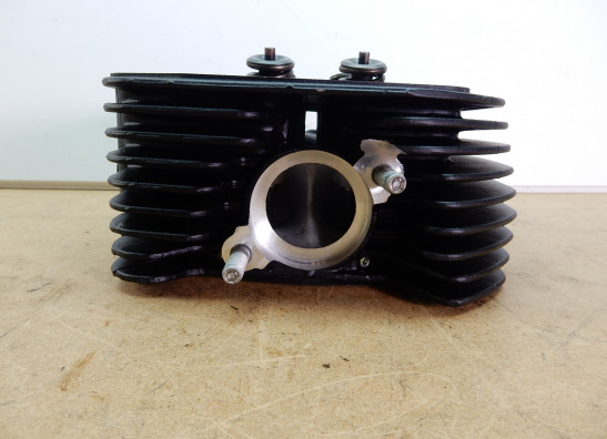 Zylinderkopf Moto Guzzi Stelvio