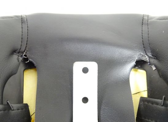 Buddy zadel Harley Davidson Sportster