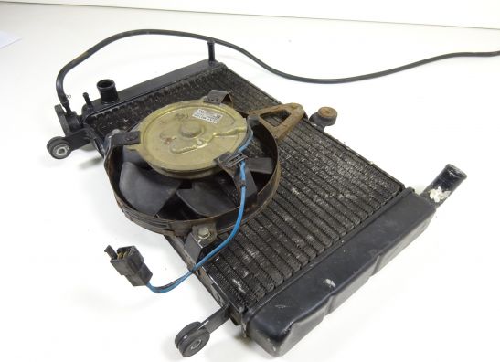 Radiator Yamaha YZF 600 Thundercat