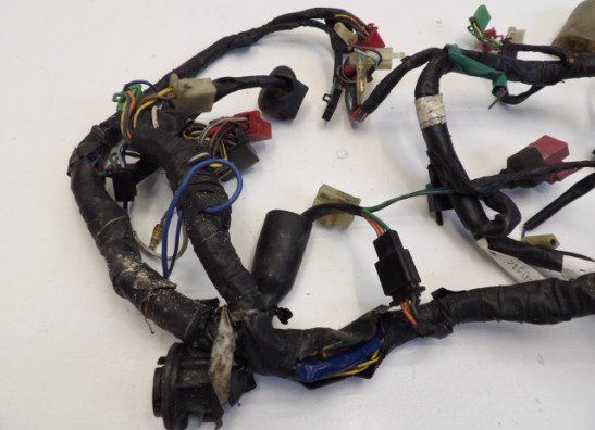 Kabelboom Honda CBR 600 F