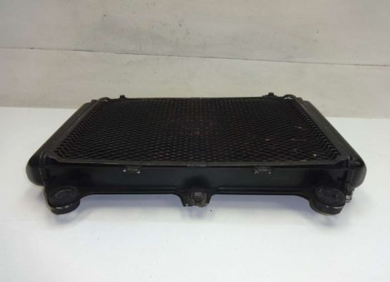 Kuhler Kawasaki GPZ 600