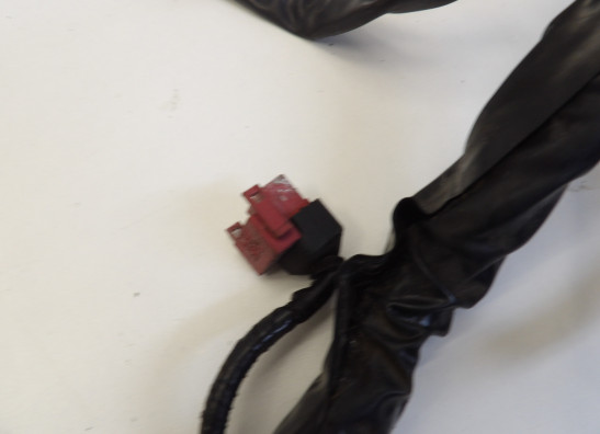 Kabelboom Honda CBF 1000