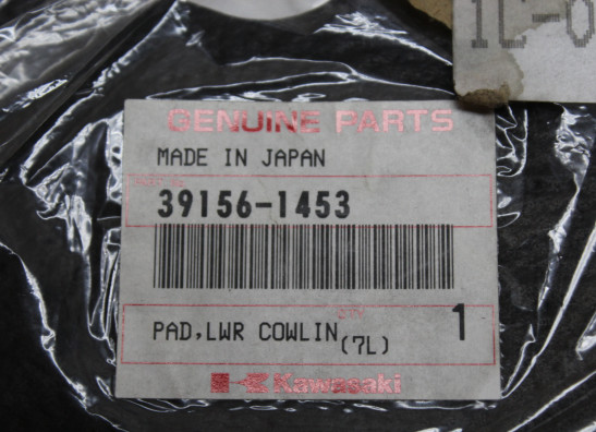 Kleber Kawasaki ZZR 1100