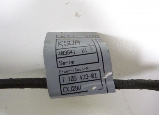 Wire Harness BMW F 800 S - ST