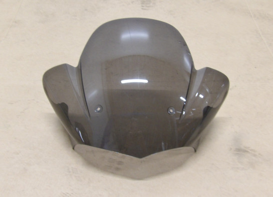Kuipruit BMW K 1200 R  2005-2008