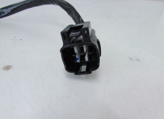 Motorblok diverse Kawasaki Z 1000