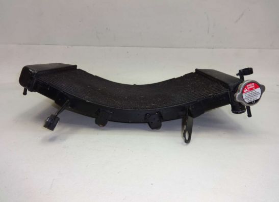 Kuhler Yamaha YZF R1