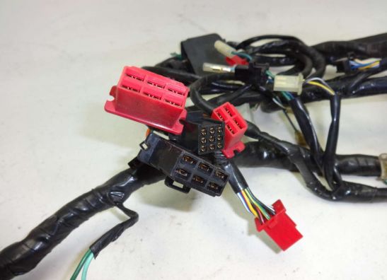 Wire Harness Honda CBR 1000 F