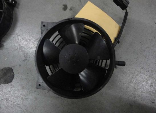 Fan Aprilia Tuono 1000