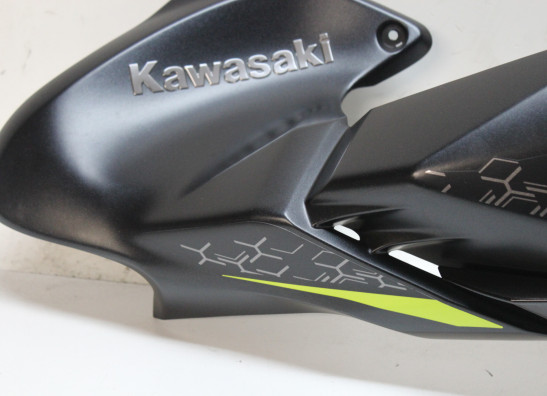 Tankcover Kawasaki Z 900