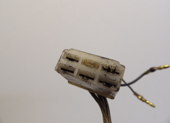 Dynamo Kawasaki LTD 550