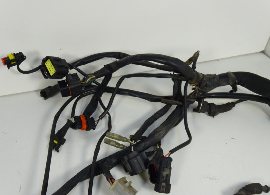 Kabelboom Ducati Monster 695