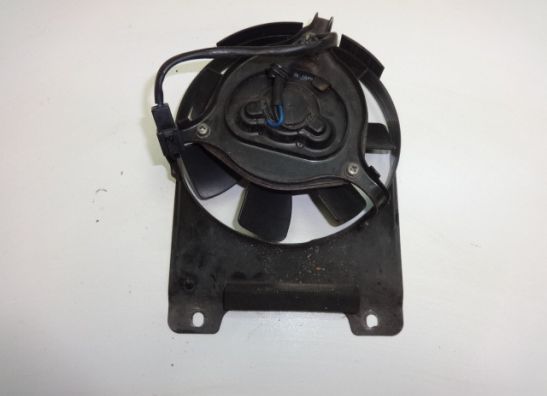 Fan Yamaha TDM
