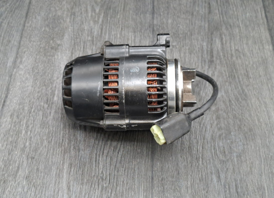 Dynamo Kawasaki ZZR 1100