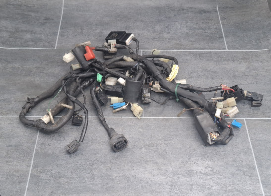 Wire Harness Yamaha YZF R1