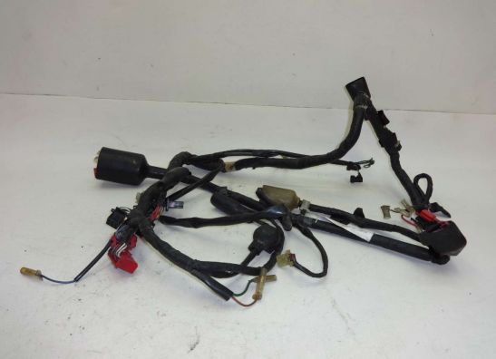 Wire Harness Honda VFR 750