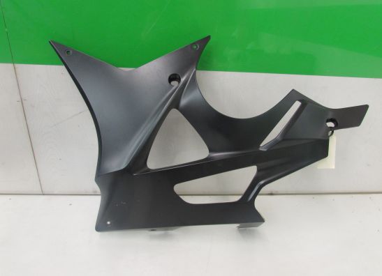 Untere verkleidung links BMW S 1000 RR