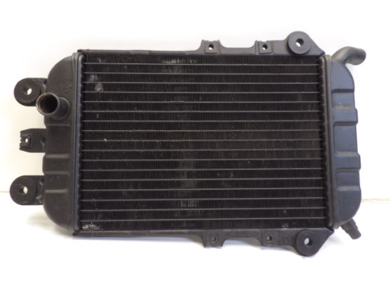 Radiator Kawasaki VN 700  750