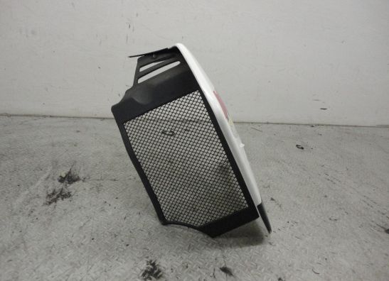 Linker zijkuip Cagiva W16 600