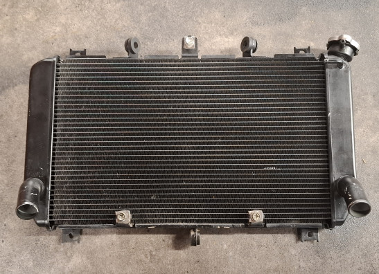 Radiateur Kawasaki Z 900
