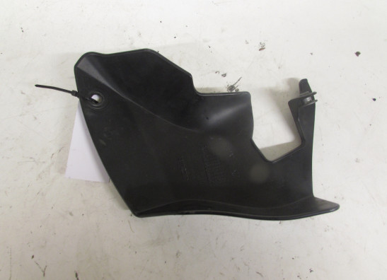 Other Aprilia Tuono 1000