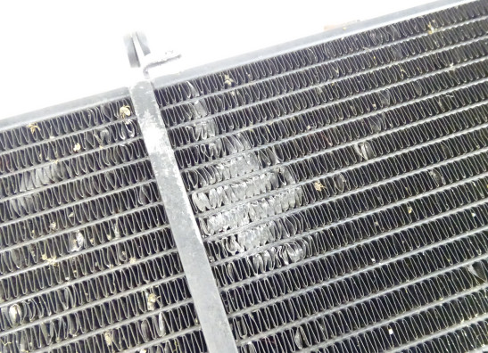 Kuhler Triumph Sprint ST 1050