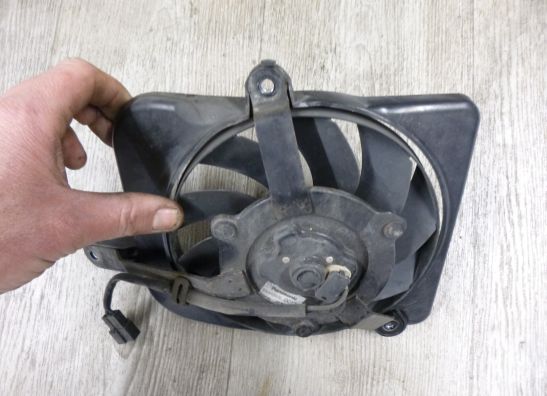 Fan Triumph Tiger Explorer