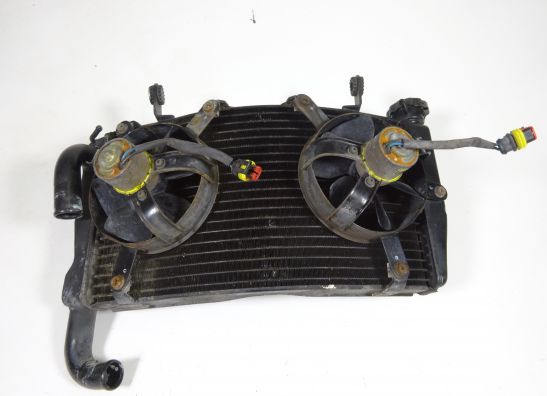 Radiator Ducati 749  999