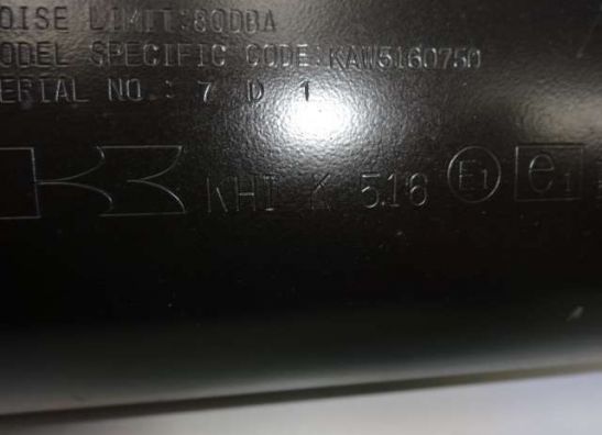 Auspuff Kawasaki Z 750