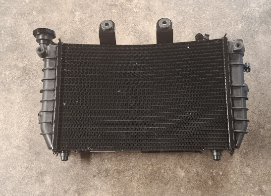 Radiateur Harley Davidson Pan America