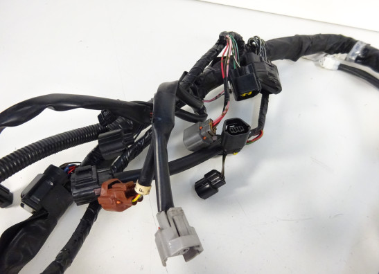 Kabelbaum Suzuki SFV 650 Gladius