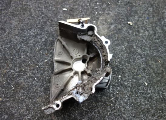 Ritzelabdeckung Kawasaki VERSYS 1000